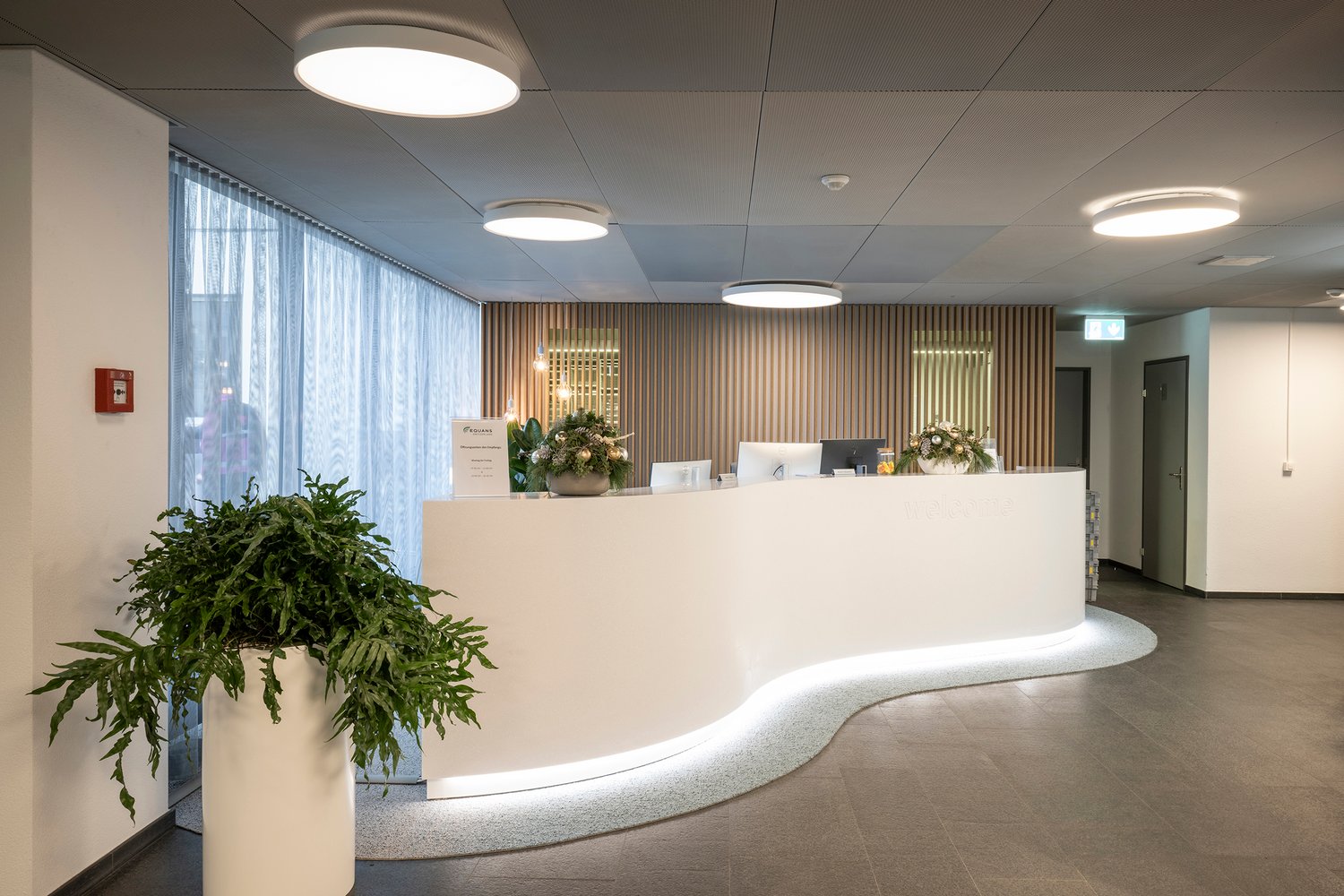 modern and minimalist design with sleek white reception desk, decorative plants, white wall, large windows, wooden wall with white lining, ceiling lights, curved carpet