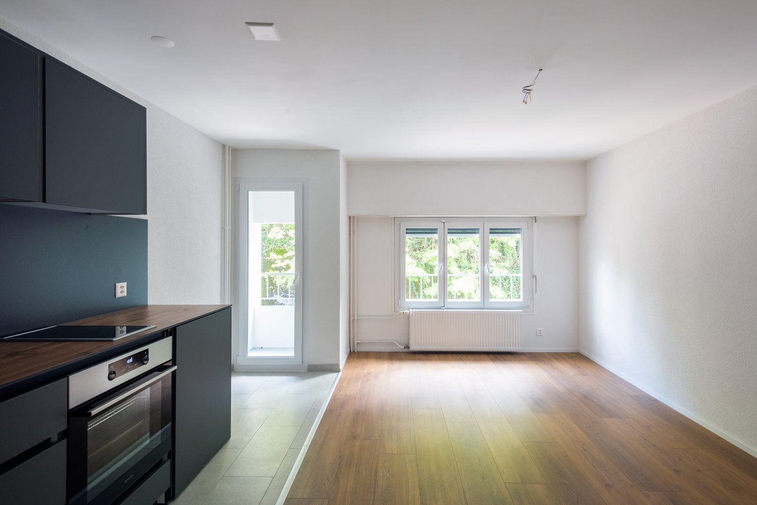 Empty room, wooden floors, black cabinets, induction cooktop, balcony, windows with view