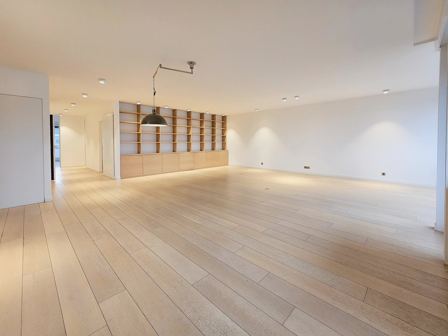 Large open-plan living room with hardwood flooring, white walls, built-in shelving unit, and a pendant light fixture