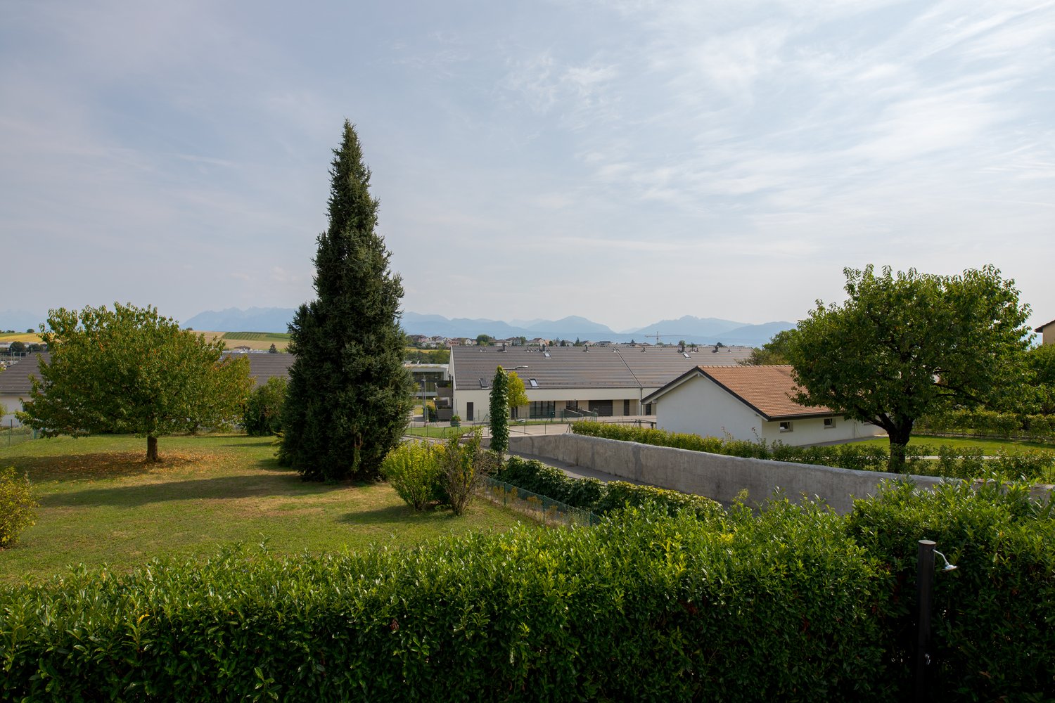 hillside with multiple houses, various trees, bushes, lawn area, distant mountain range