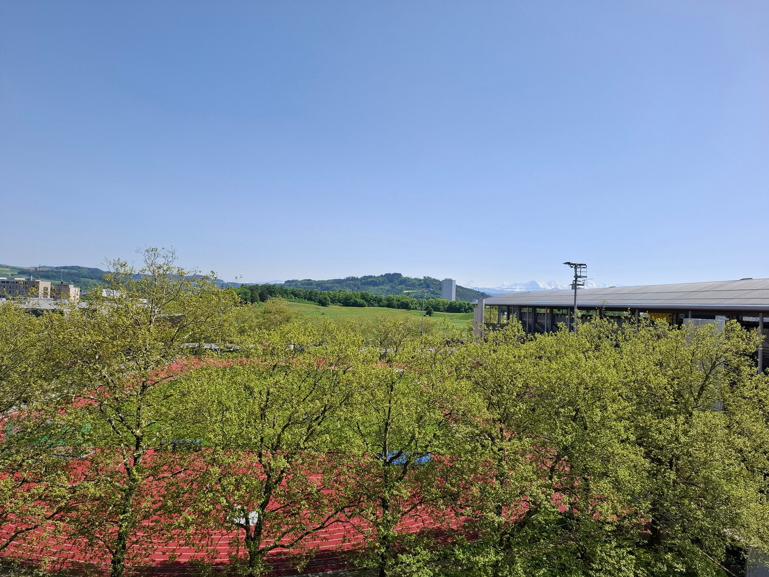 trees, grassy field, red athletic track, stadium, mountain range