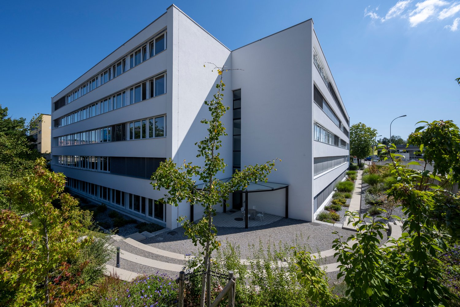 modern white office building, multiple floors, large windows, glass door, small patio, surrounded by greenery