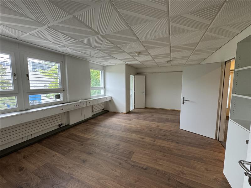 empty room, white walls, windows, wooden floor, ceiling with panels