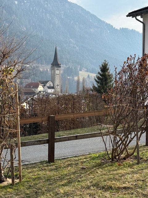 fence, grass, trees, road, mountain, tower, buildings