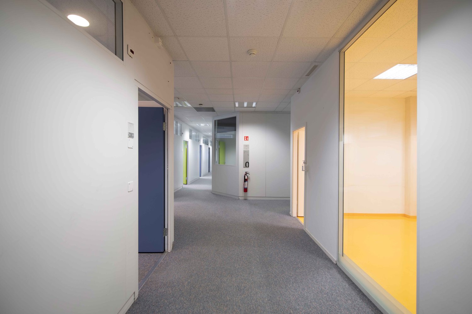 Empty hallway with gray carpeted floor, white walls, ceiling with lights, blue and green doors, and fire extinguisher