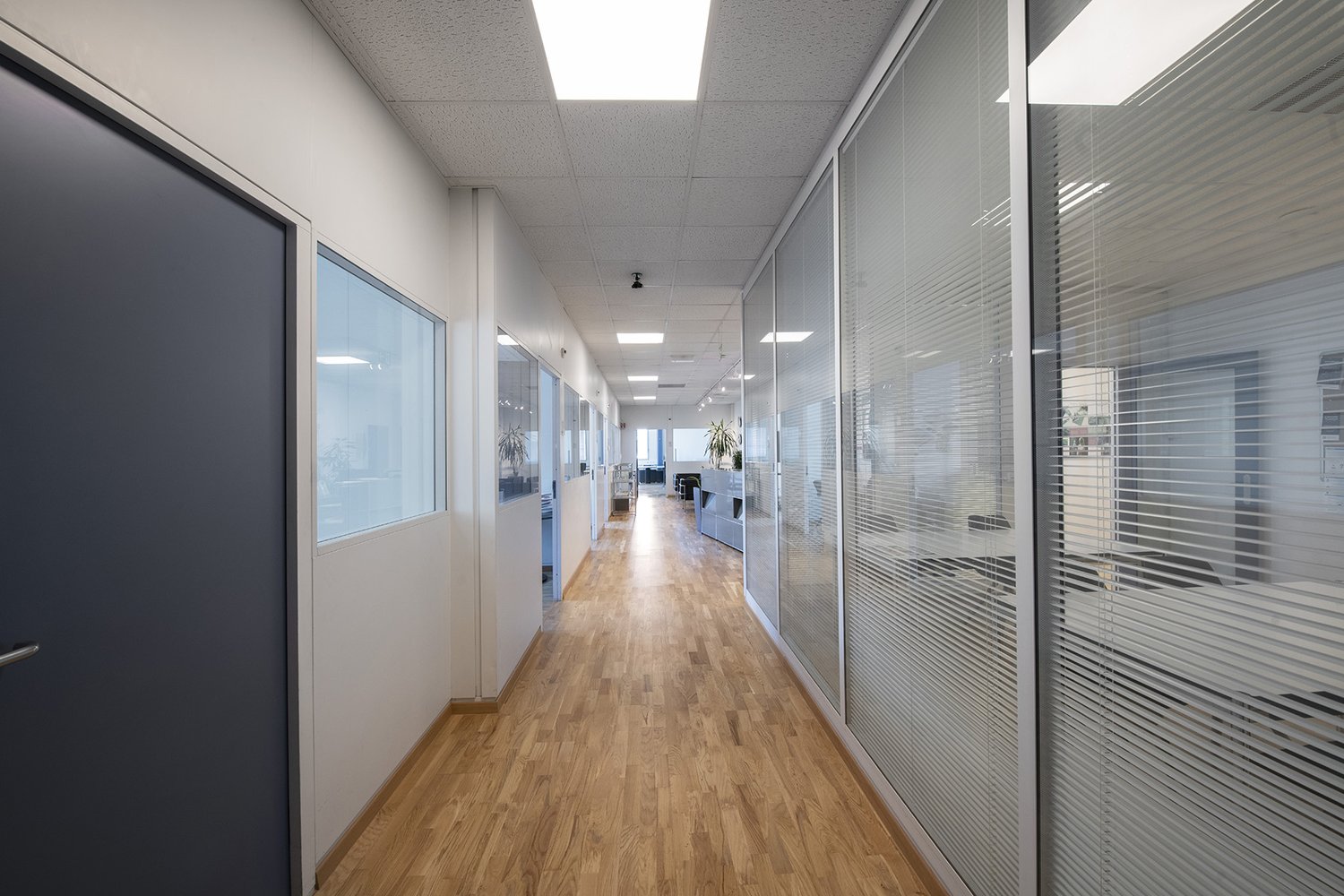 Office hall with wooden floors, glass walls, white walls, modern interior, surveillance camera
