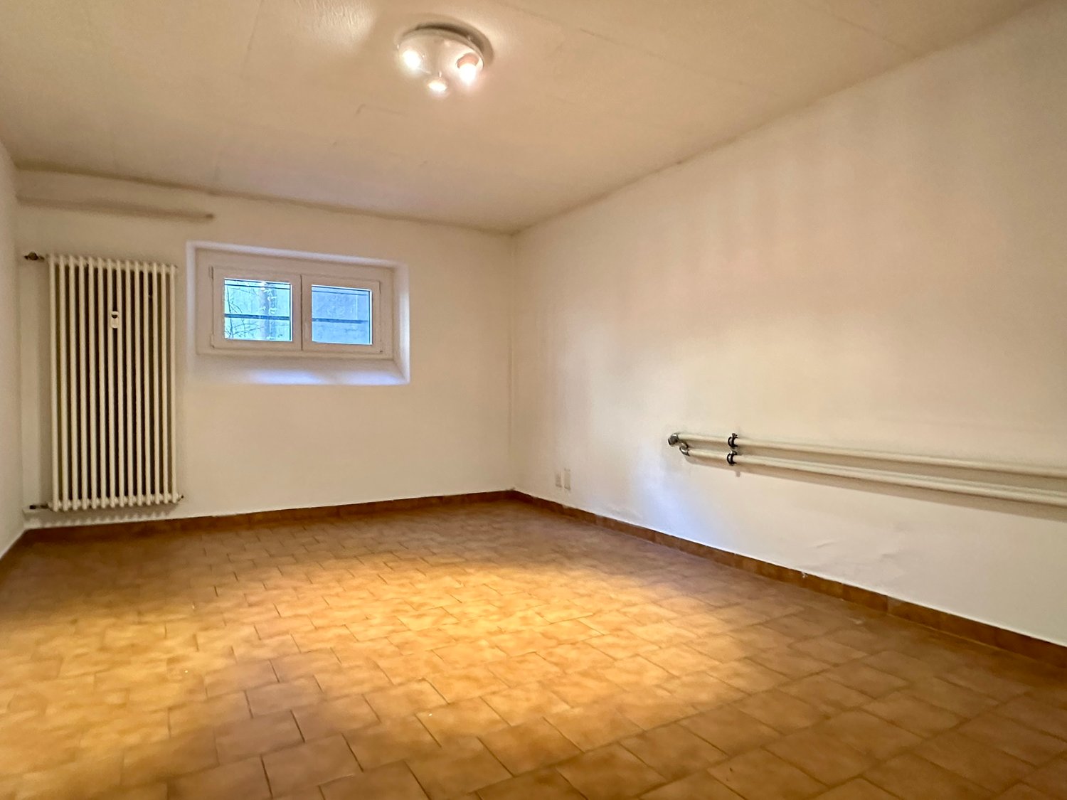empty room, white walls, wooden floor, radiator, two windows, ceiling light