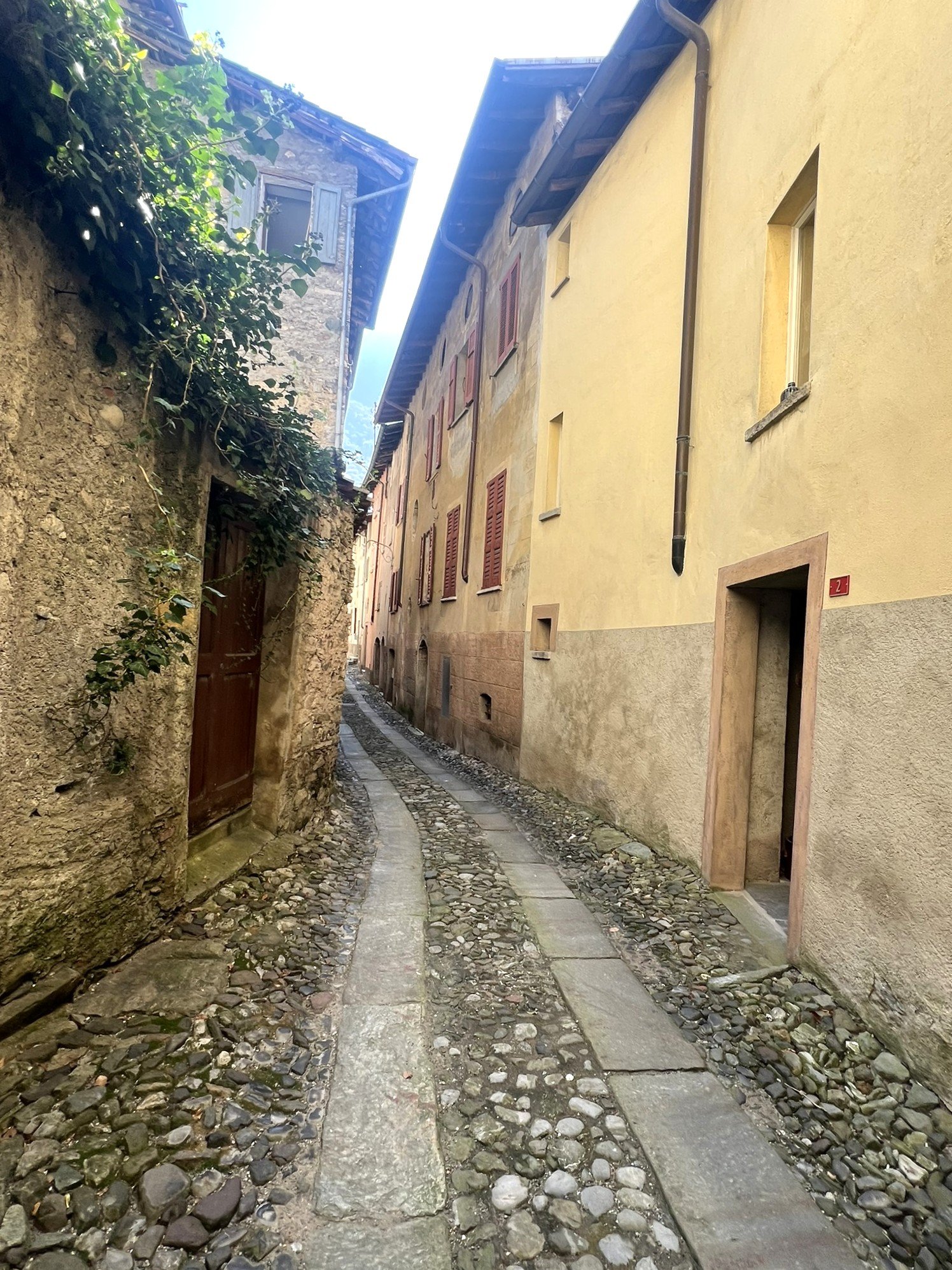 Narrow cobblestone street between two buildings, one with a brown door and the other with red shutters