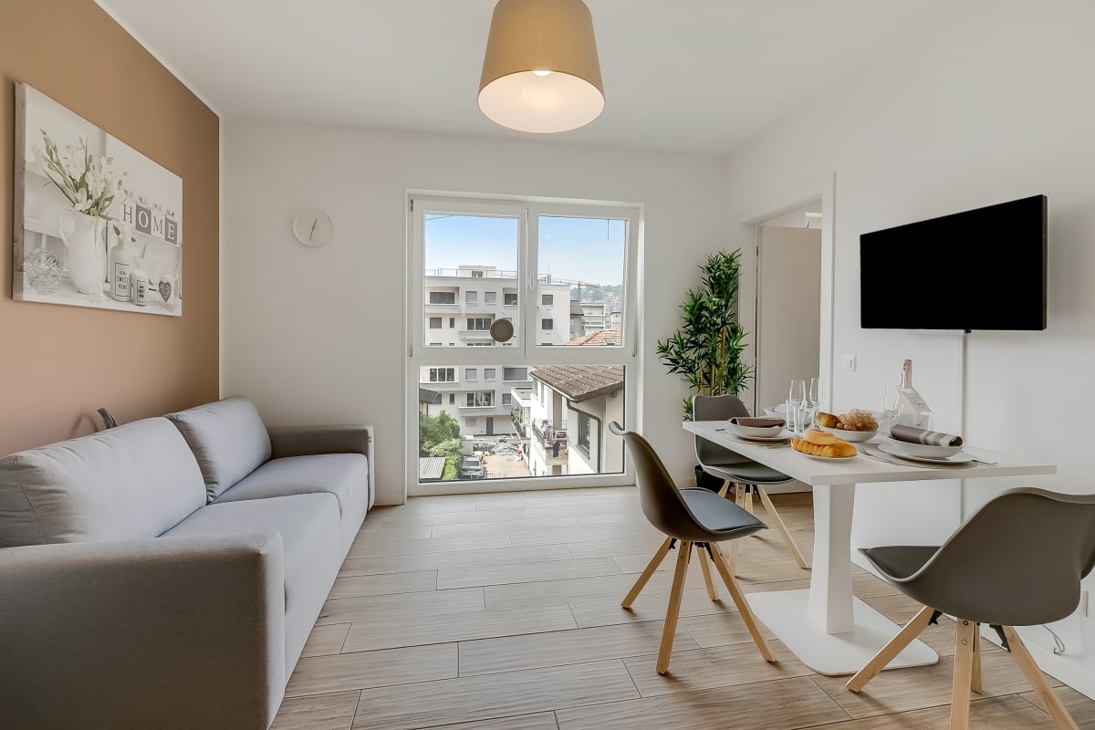 open space, couch, dining table, chairs, television, plants, window