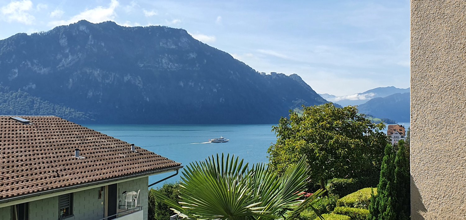 Brown tiled roof, mountain in the background, fenced garden, lake and mountains, boat in the lake