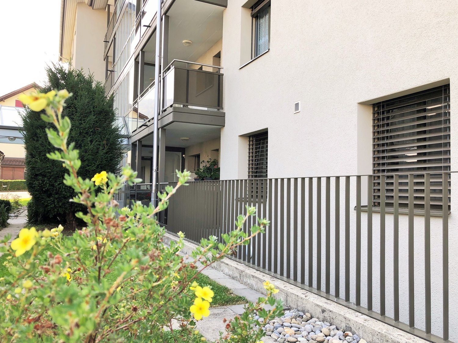 white building, metal fence, balcony, plants and flowers, multiple windows