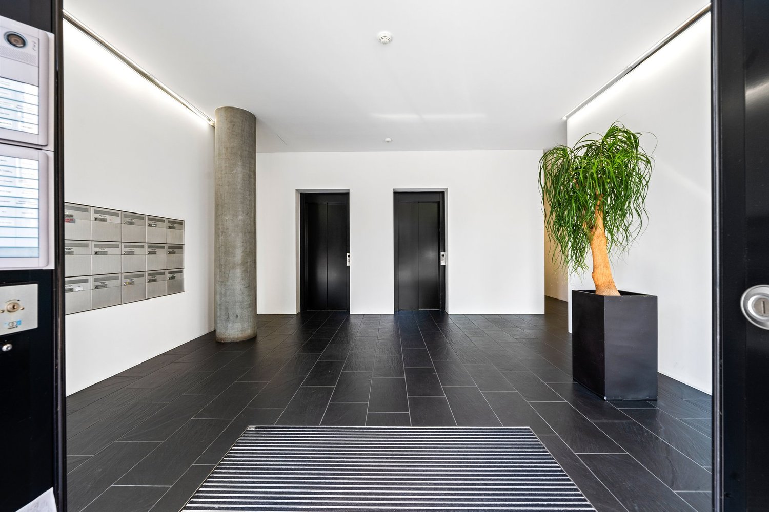 modern hallway, black tiled floor, white walls, two doors, potted plant, mailboxes
