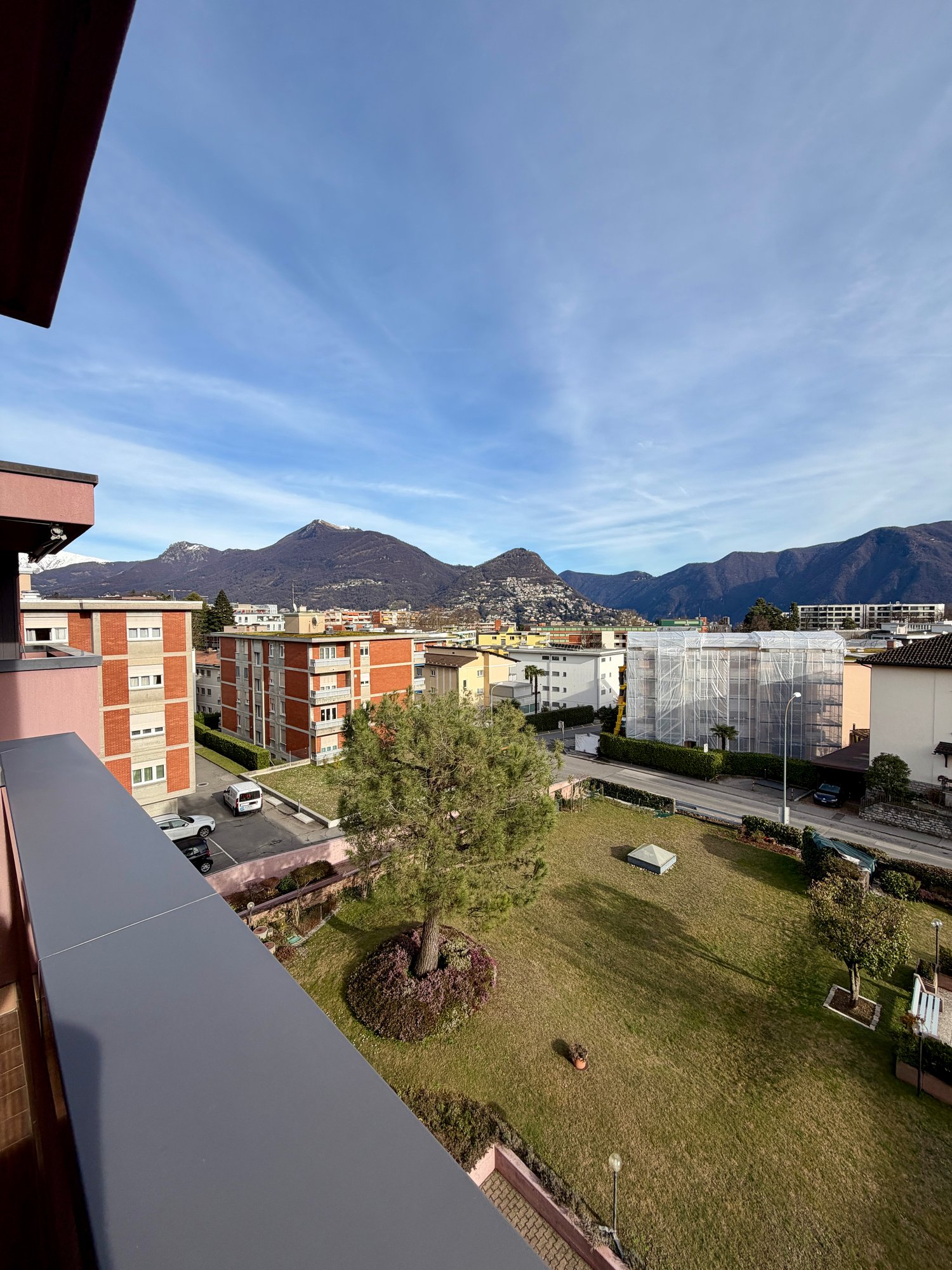 Aerial view of a garden with a tree, plants, and a building in the background.