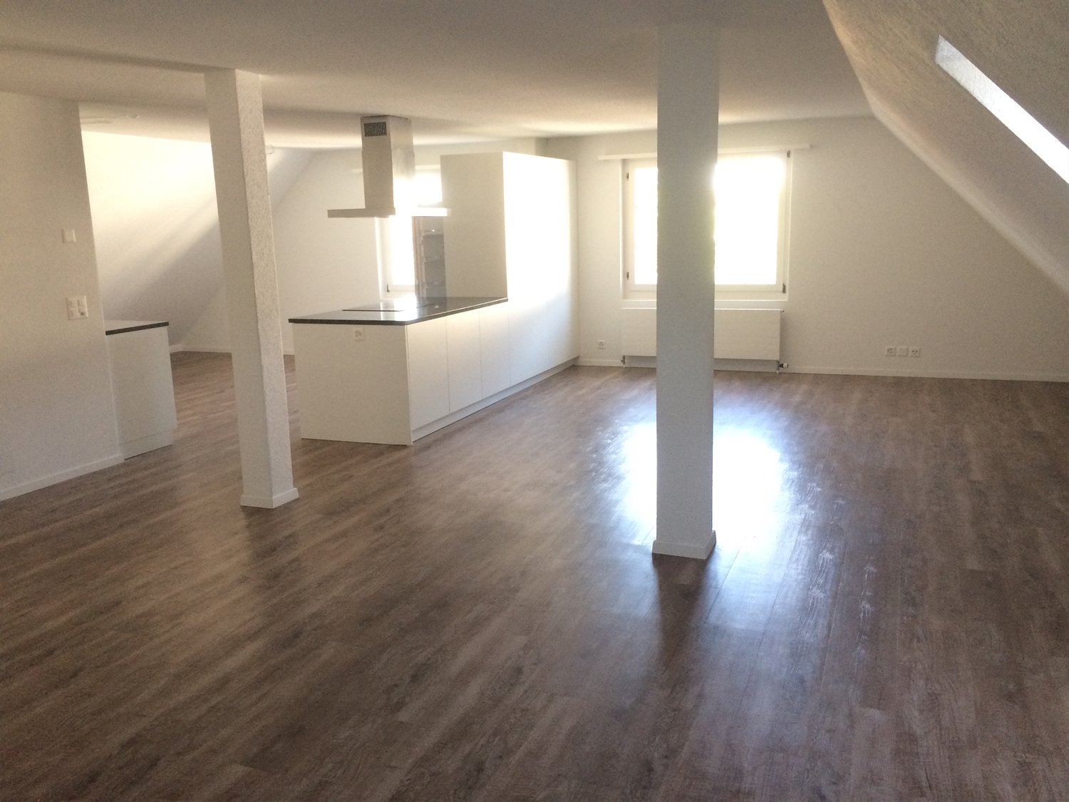 Bild grosszügige 4.5 Zimmer-Dachwohnung mit Gartenanteil und Gartenlaube