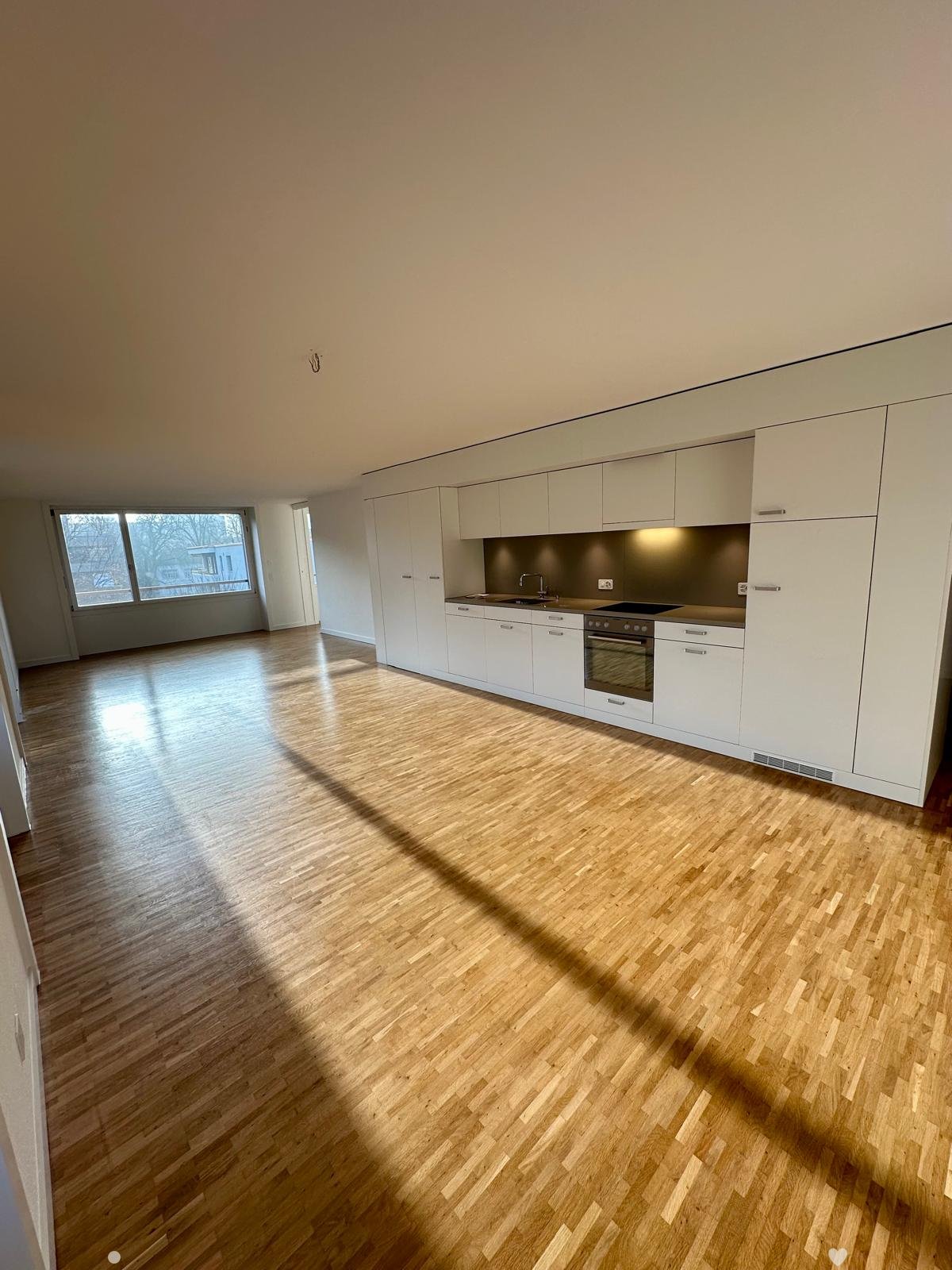 Wooden floor, large kitchen window, modern kitchen with built-in appliances