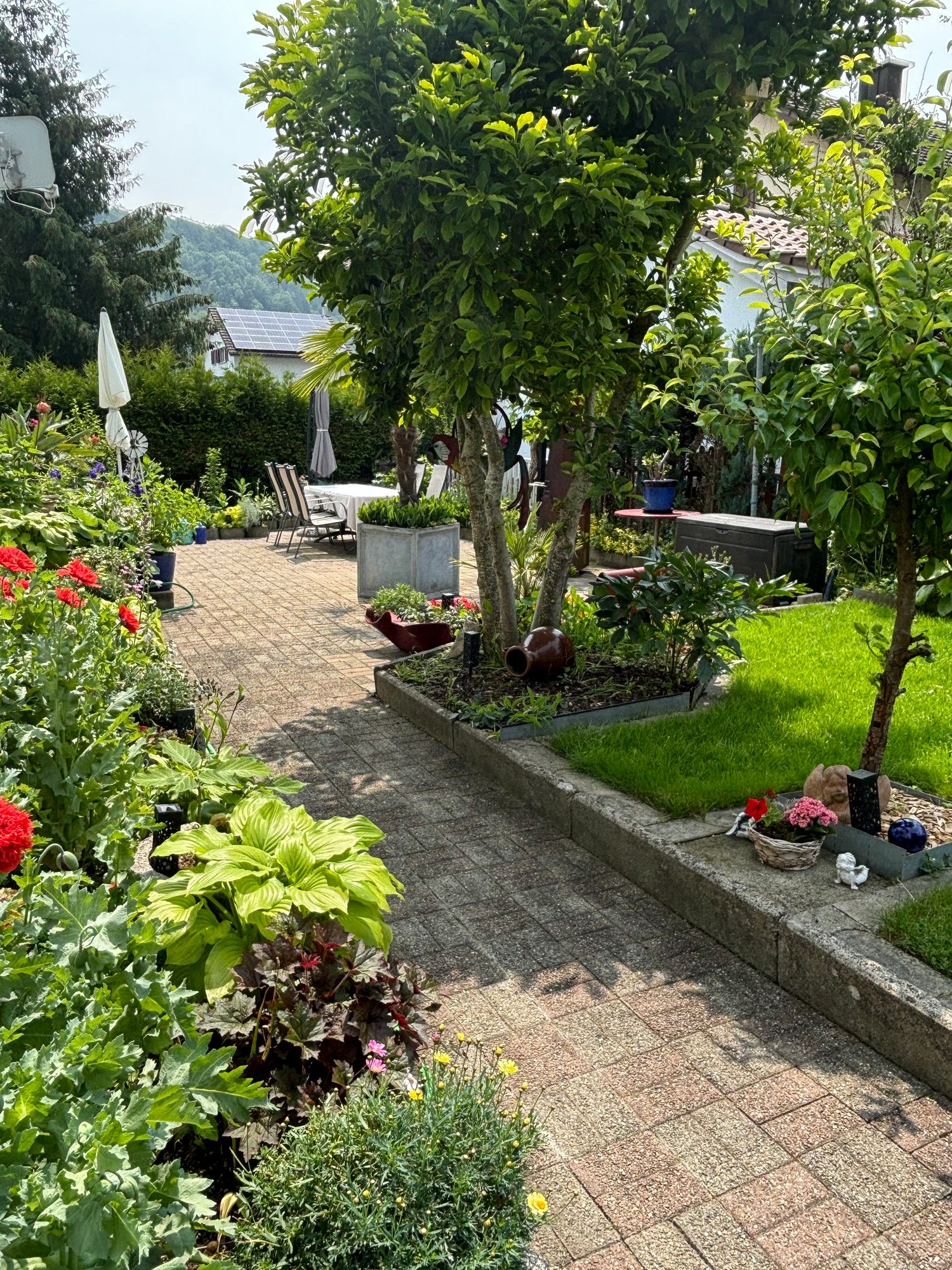 Lush, well-maintained garden with a variety of plants, trees, and flowers. Brick paved walkway leading to a seating area with chairs and umbrellas. Solar panels visible on the roof of the building in the background. Potted plants and garden decor scattere