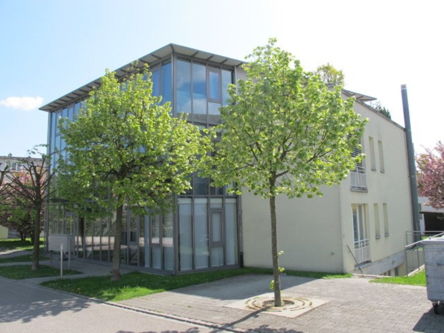 Modern house, raised ground floor, white walls, glass windows, pathway, trees, grass
