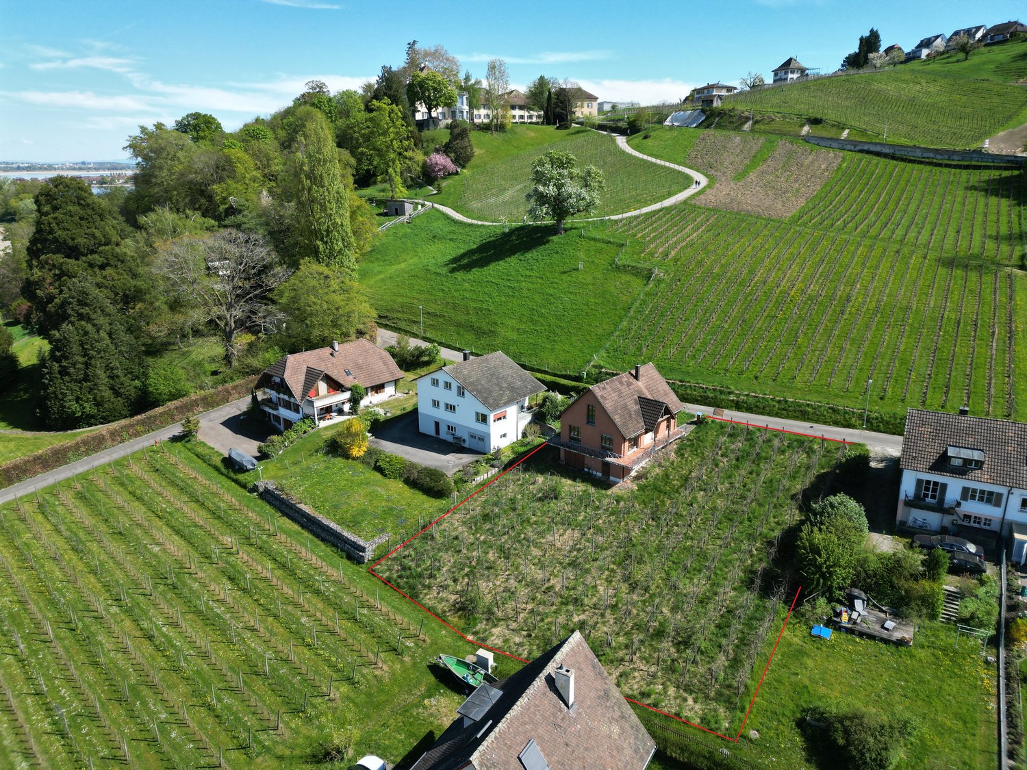 House in a vineyard, terraced houses, green lawn, trees, driveway, and parking area