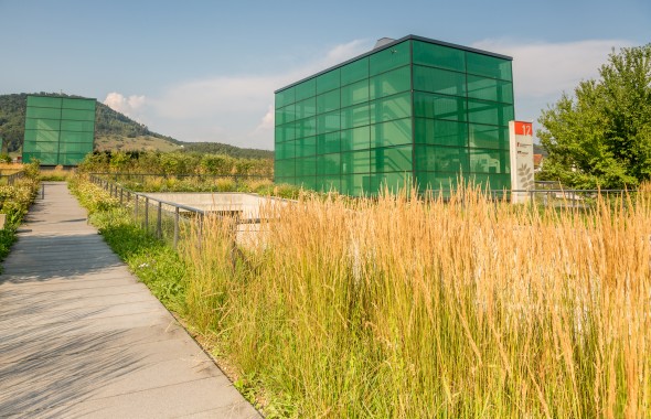 Path leading to a green glass building, surrounded by tall grass and trees, with mountains in the background