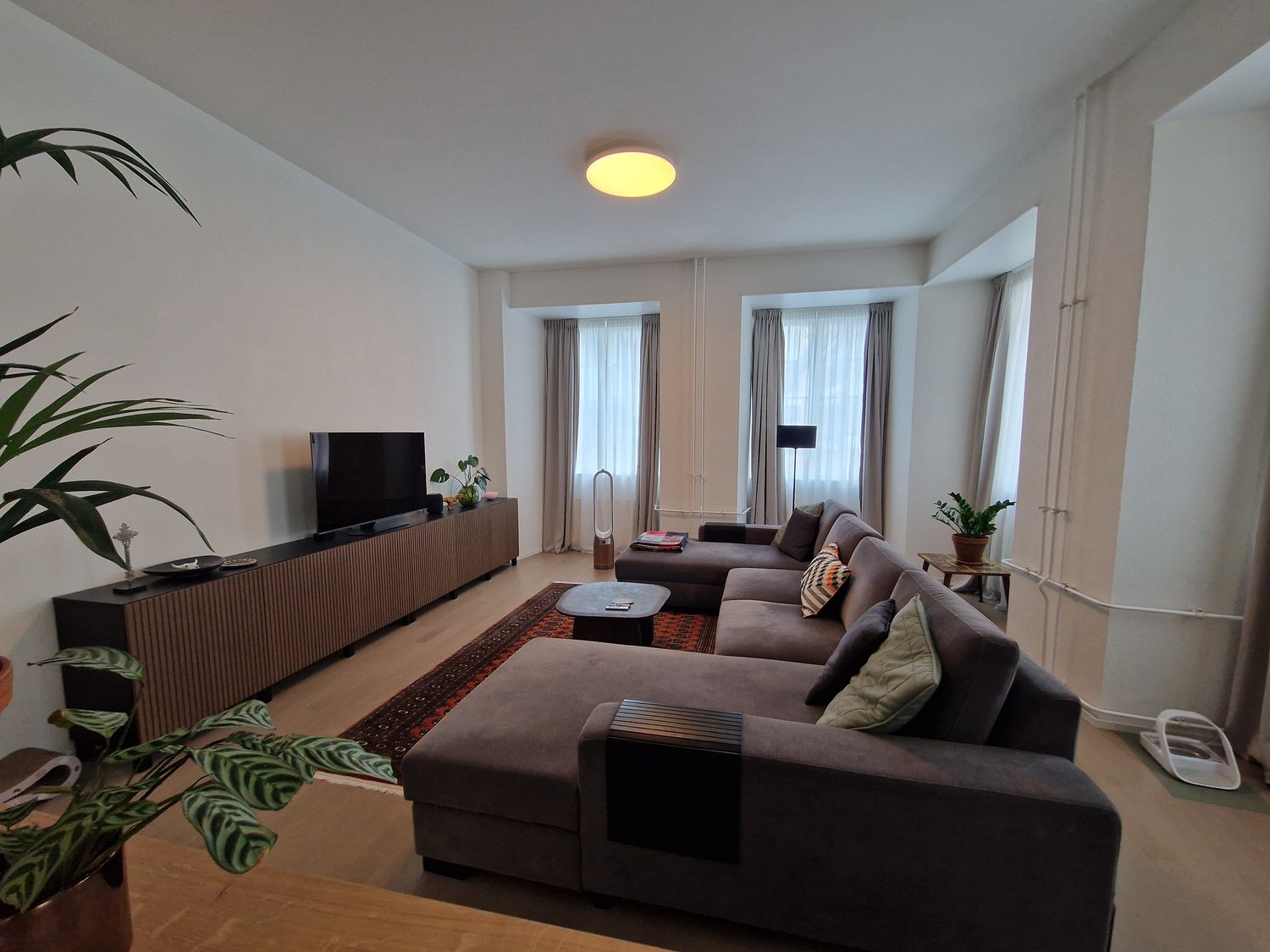 a large L-shaped couch, dark gray color, three side tables, one TV console with one TV, an oriental rug, two floor lamps, potted plants