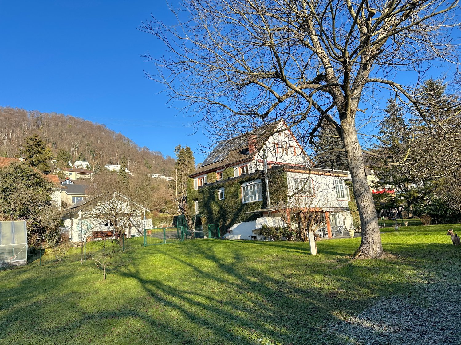 2 story house, white walls, red accents, large front yard, solar panels on roof, large trees