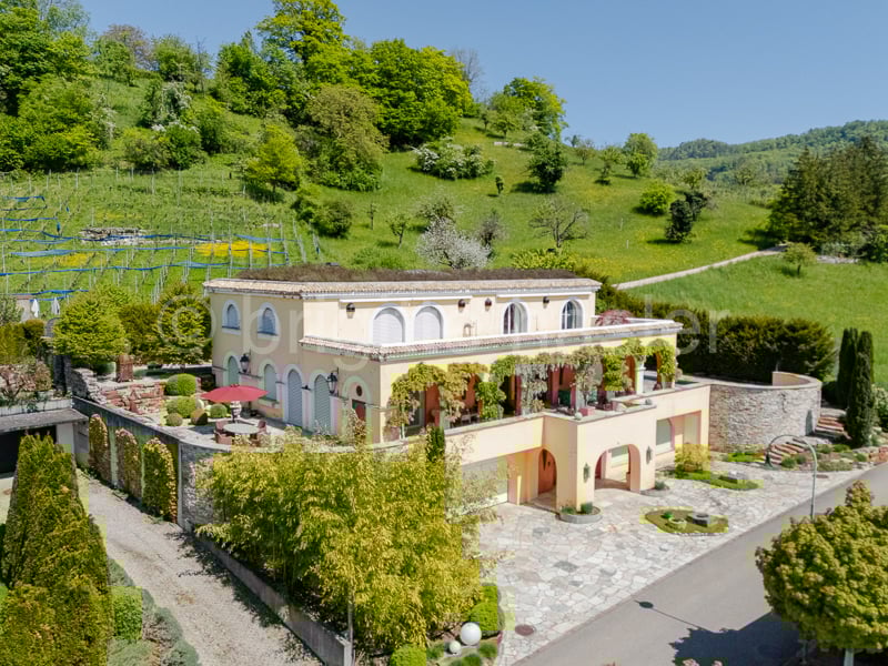 Large two-story villa with arched windows, surrounded by lush greenery and gardens, with a paved driveway and parking area
