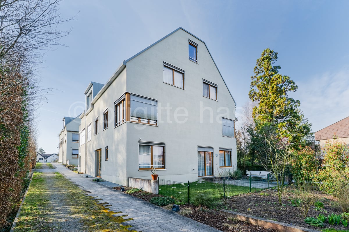 Modern white house, multiple windows, small garden, paved driveway