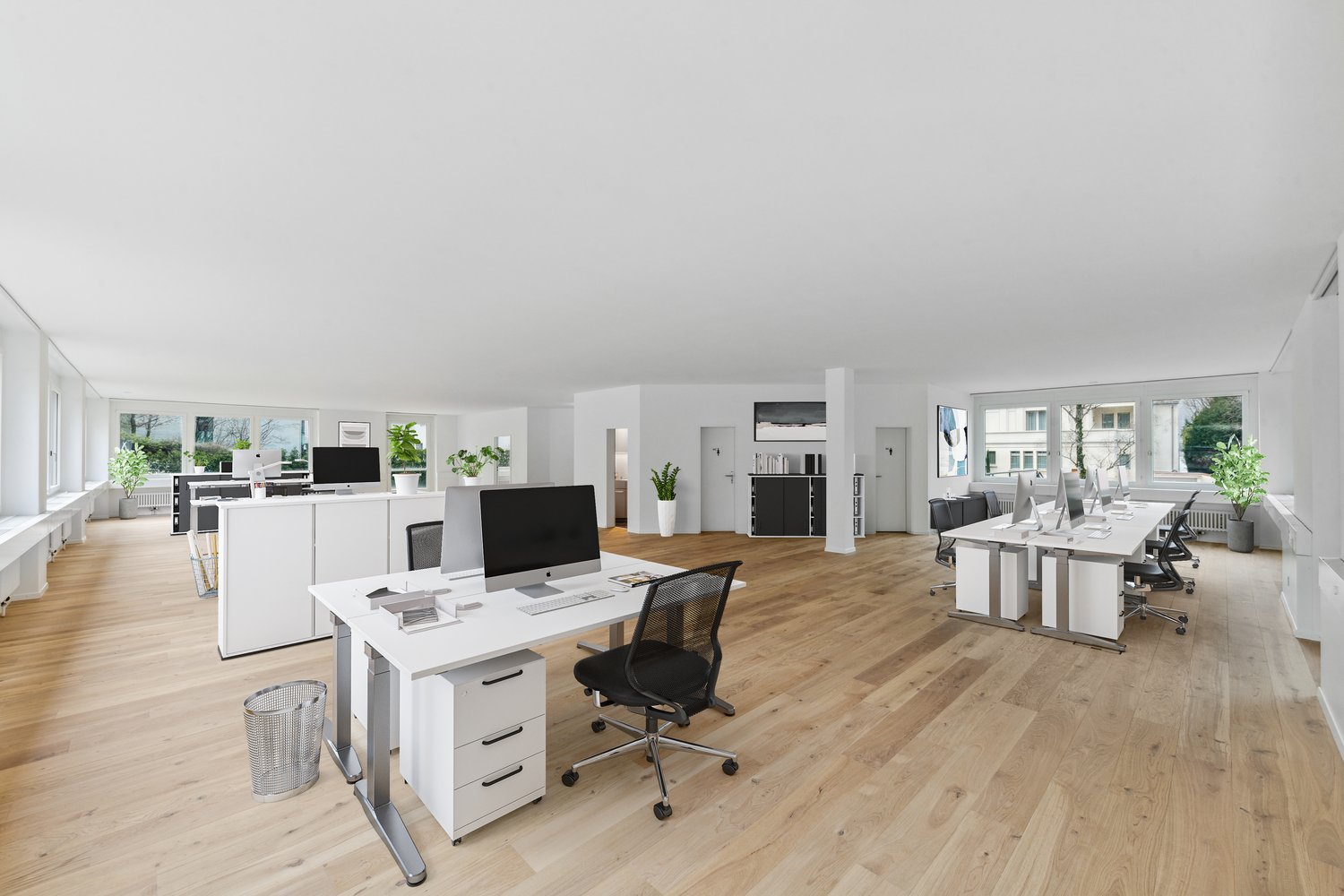 modern office with white walls, wooden floors, white desks, black office chairs, computer monitors, potted plants
