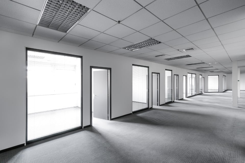 An empty office corridor with multiple rooms, large windows, and a carpeted floor.