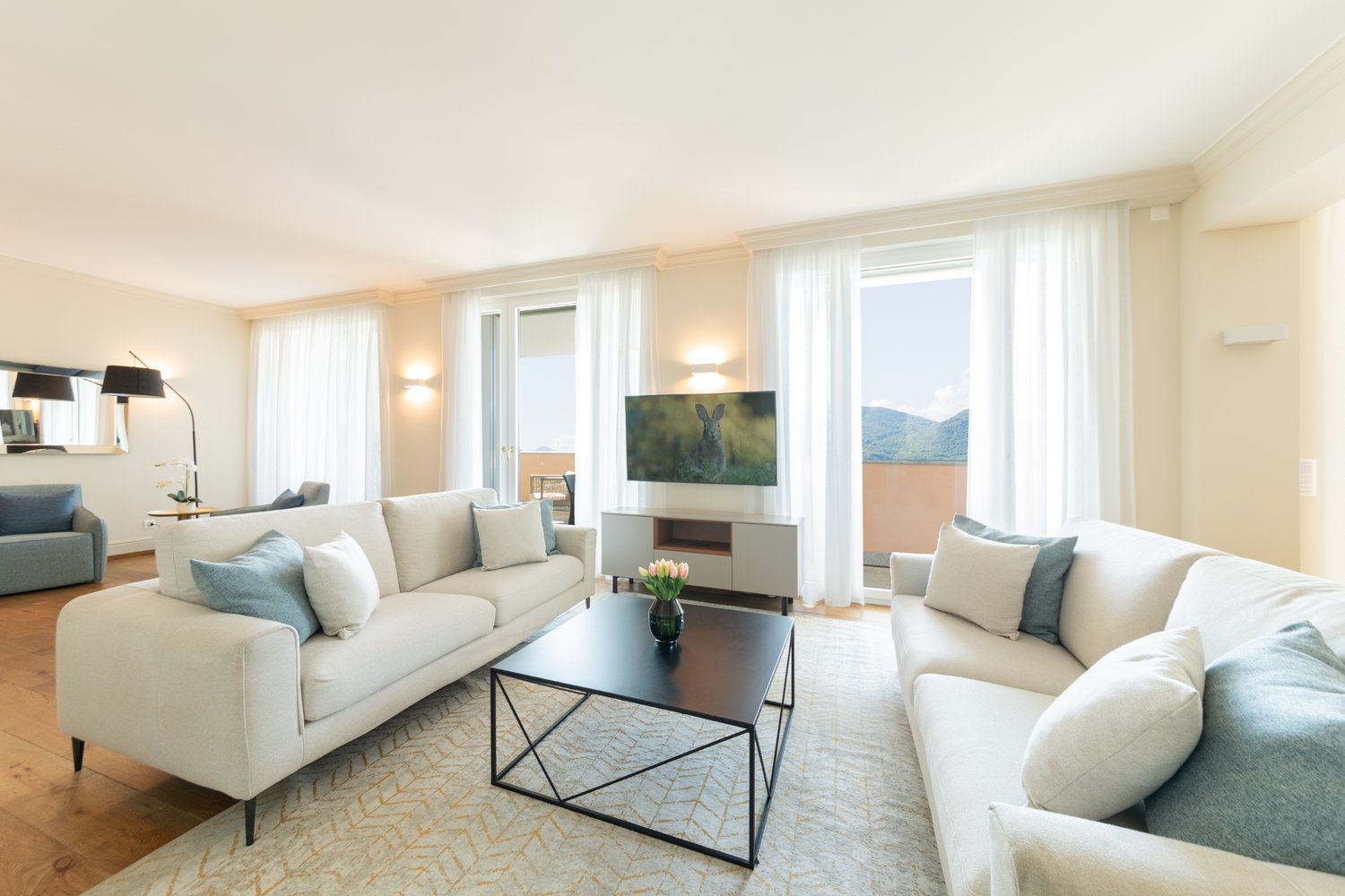 modern living room, two sofas, center table, TV, large windows, wooden floor