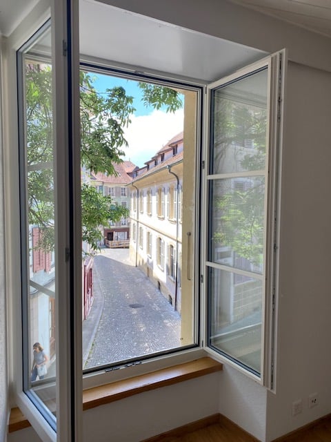 Corner window with view of street and trees