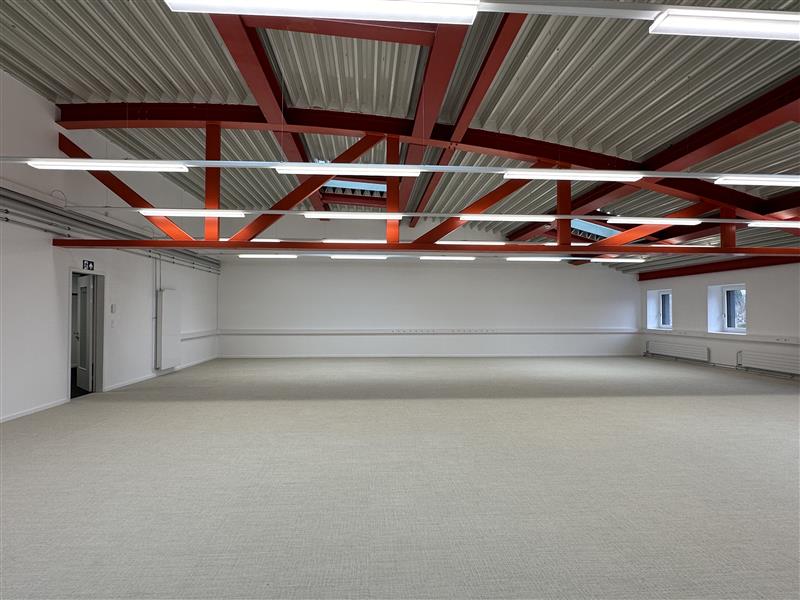 Empty room, steel roof, white walls, fluorescent lighting, concrete floor, windows, doors