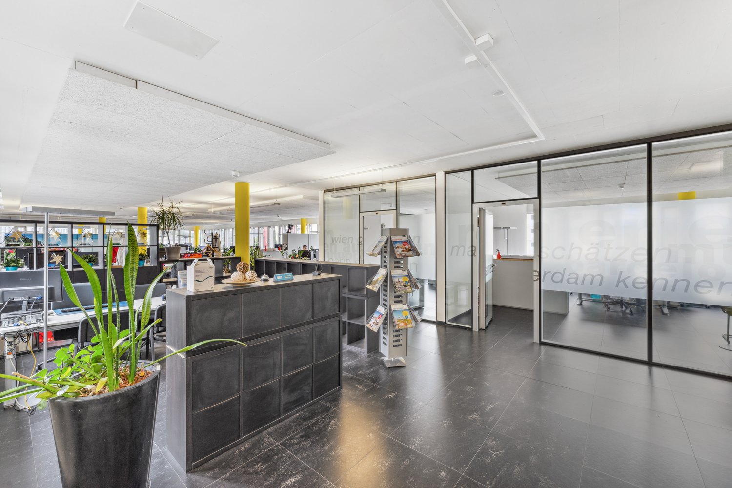 modern office interior with glass walls, yellow columns, reception desk, potted plant, glass doors, open layout, monitors, computers, magazines stand