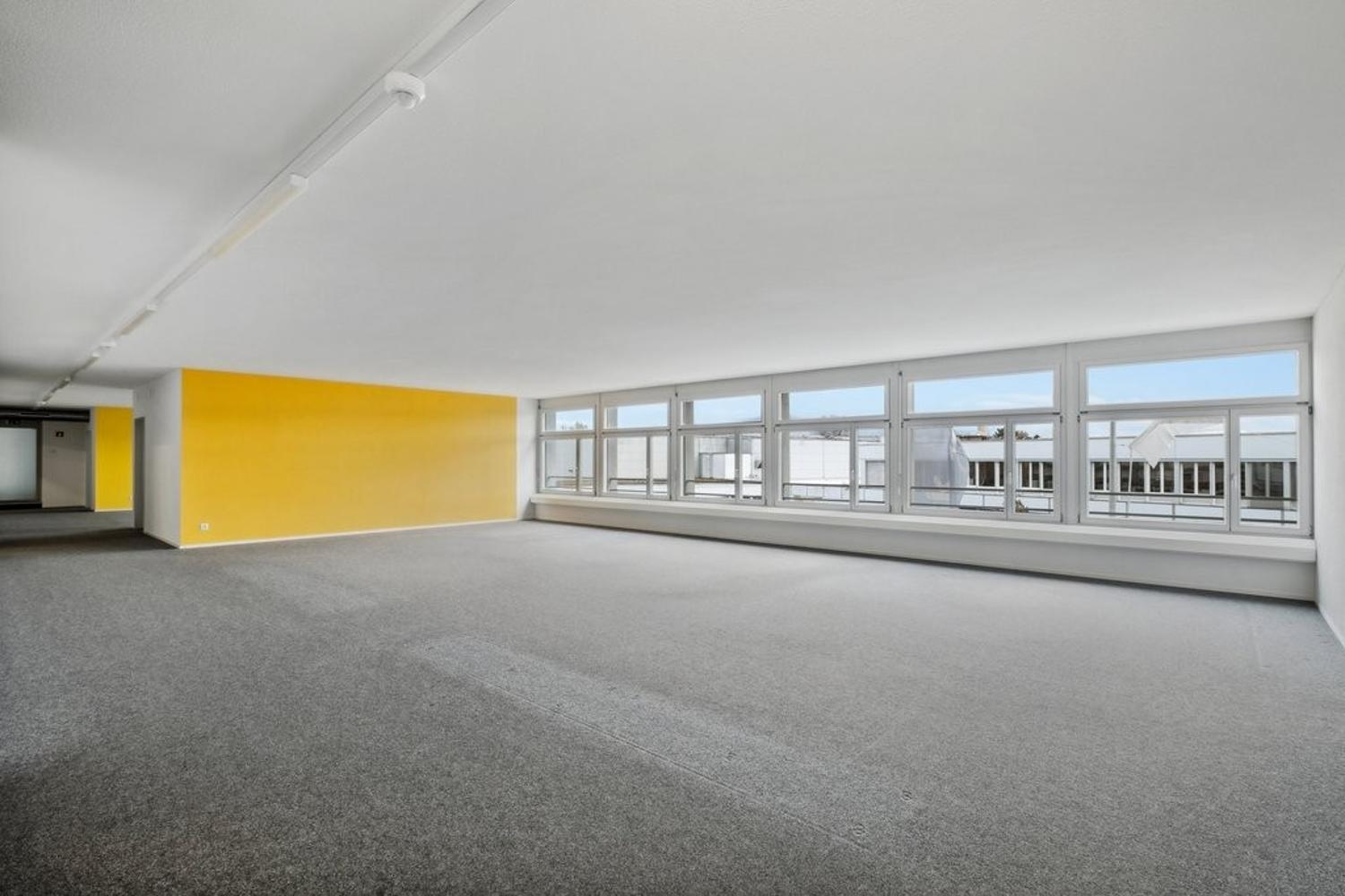 Empty room with carpeted floor, yellow wall, glass windows, white ceiling, ceiling lights
