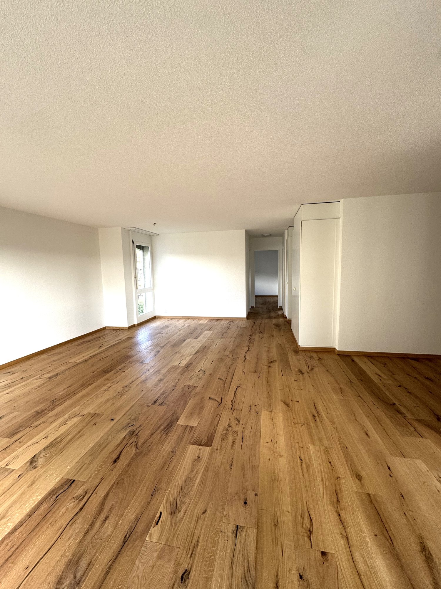 large room, wooden floors, white walls, white ceiling, no furniture