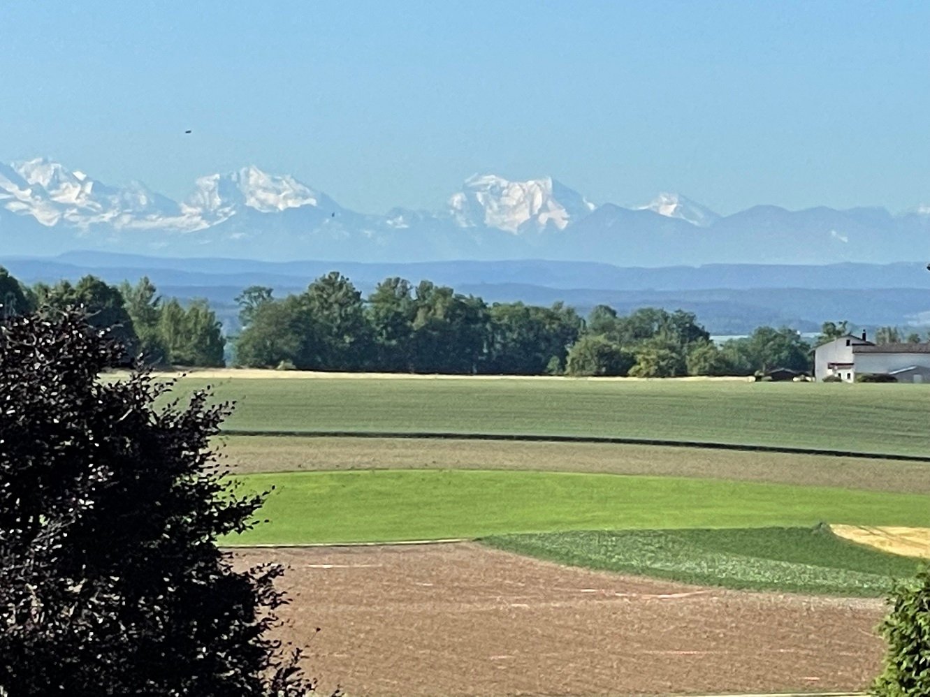 The image shows a scenic rural landscape with a large open field in the foreground, surrounded by lush green trees and vegetation. In the distance, there are snow-capped mountain peaks visible against a clear blue sky. The scene appears to be a peaceful,