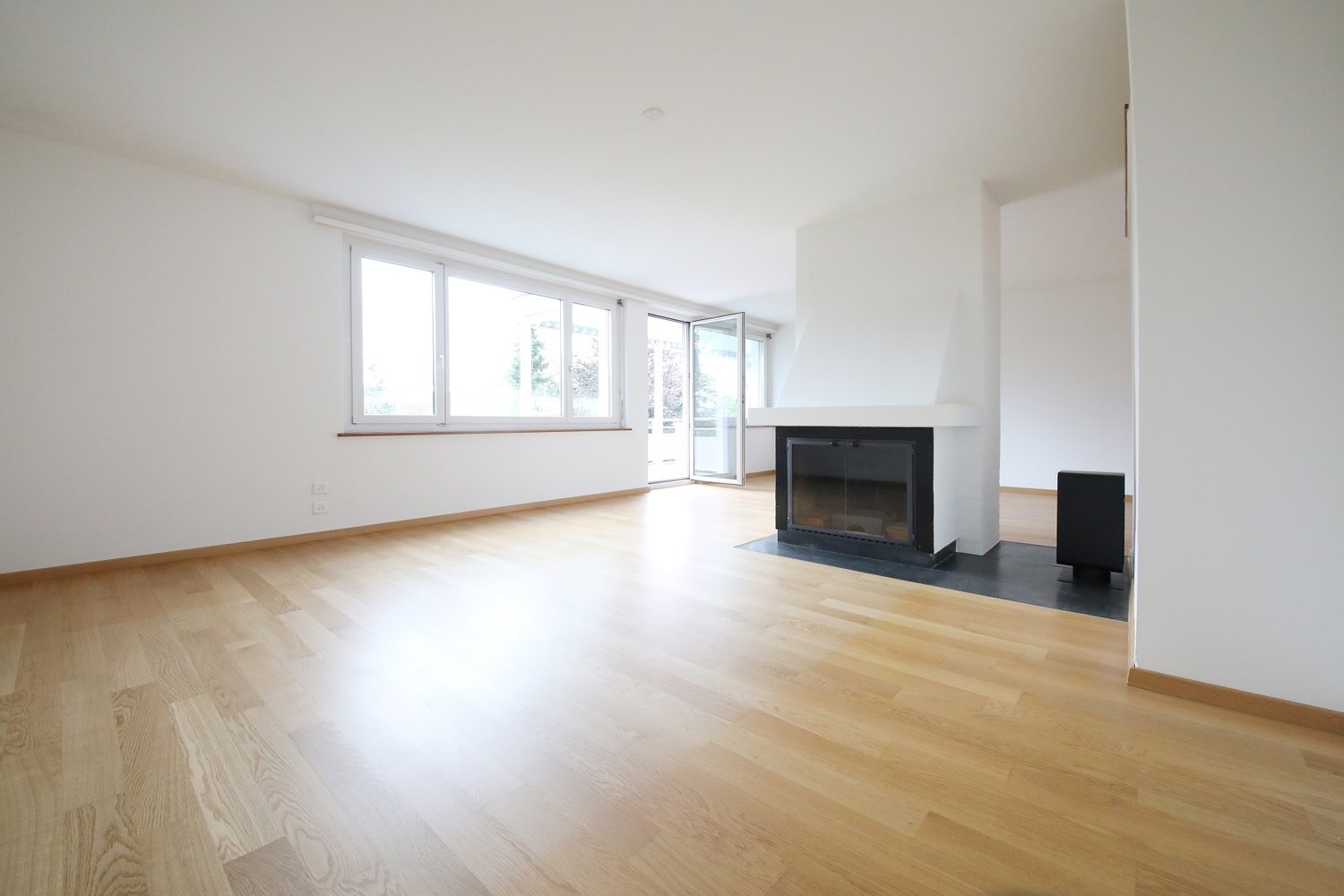 Fireplace, white walls, hardwood floors, sliding door, glass windows