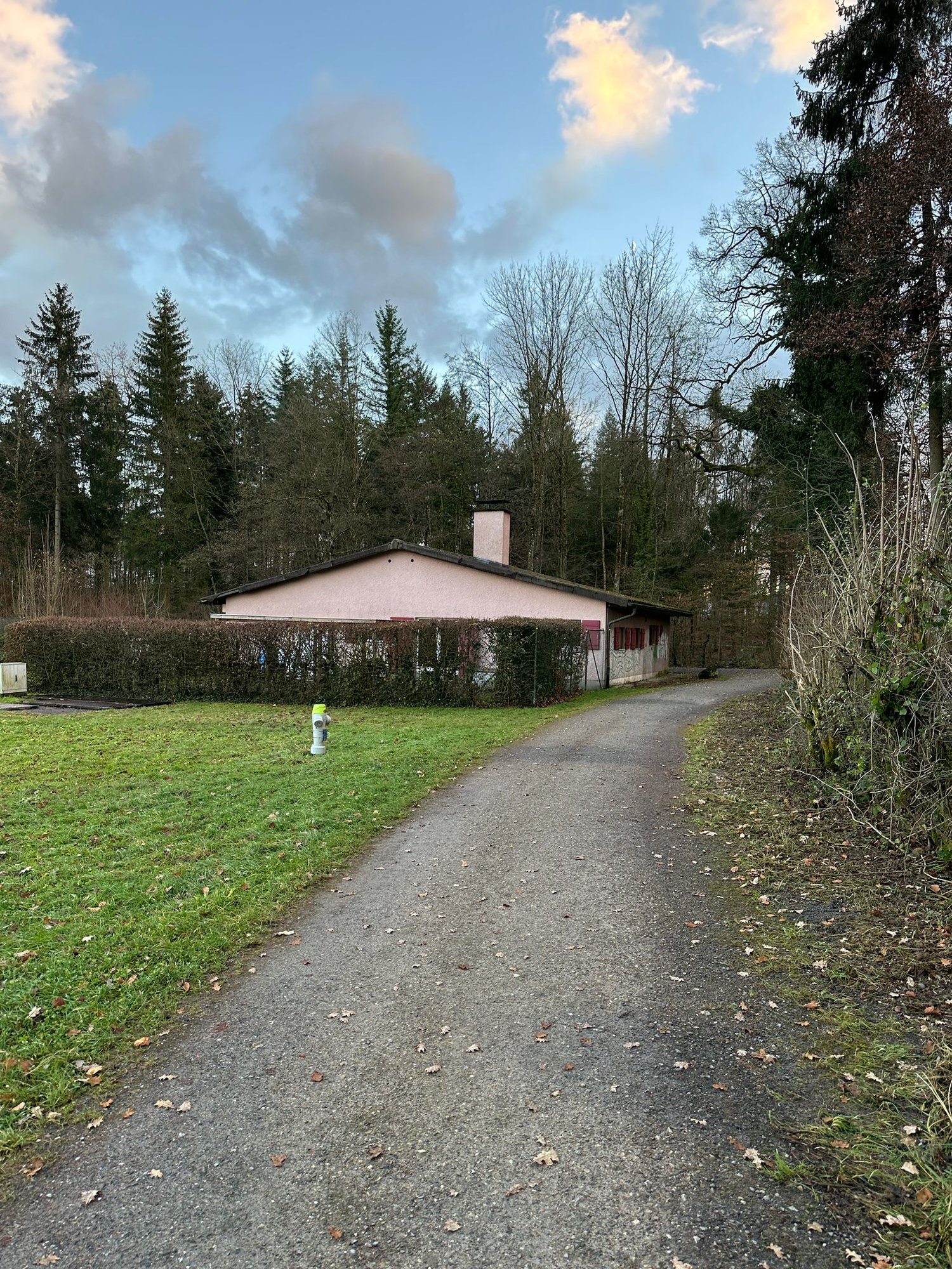 Pink building with a brown roof, pathway leading up to the entrance, hedge on the side, and a grassy field in the background.