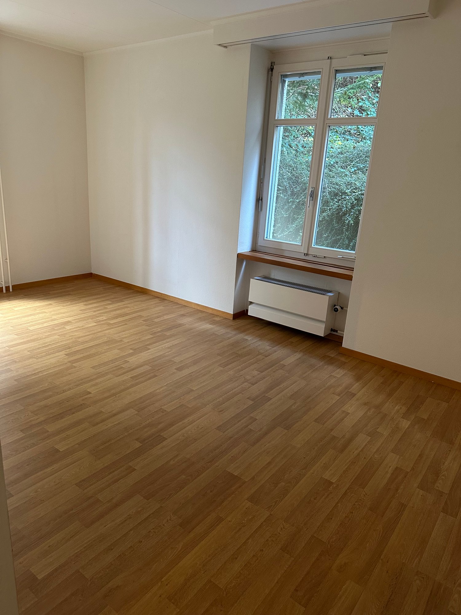 Empty room, hardwood floors, white walls, large window with view to outside