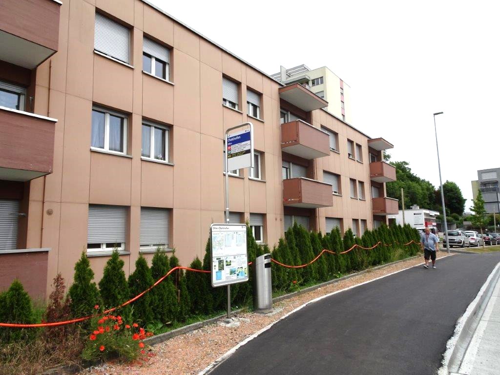 apartment building, balconies, brown facade, green shrubs, red flowers