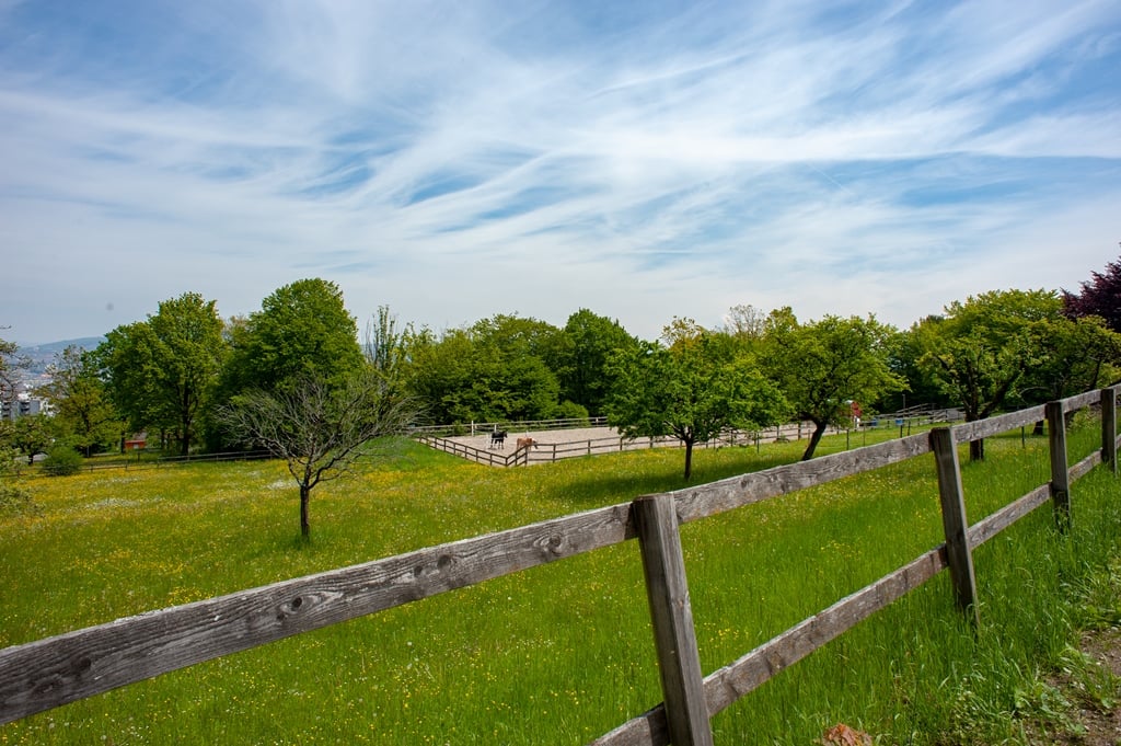 Scenic rural landscape with a grassy field, wooden fences, and lush green trees. The sky is filled with wispy clouds, creating a peaceful and serene atmosphere.