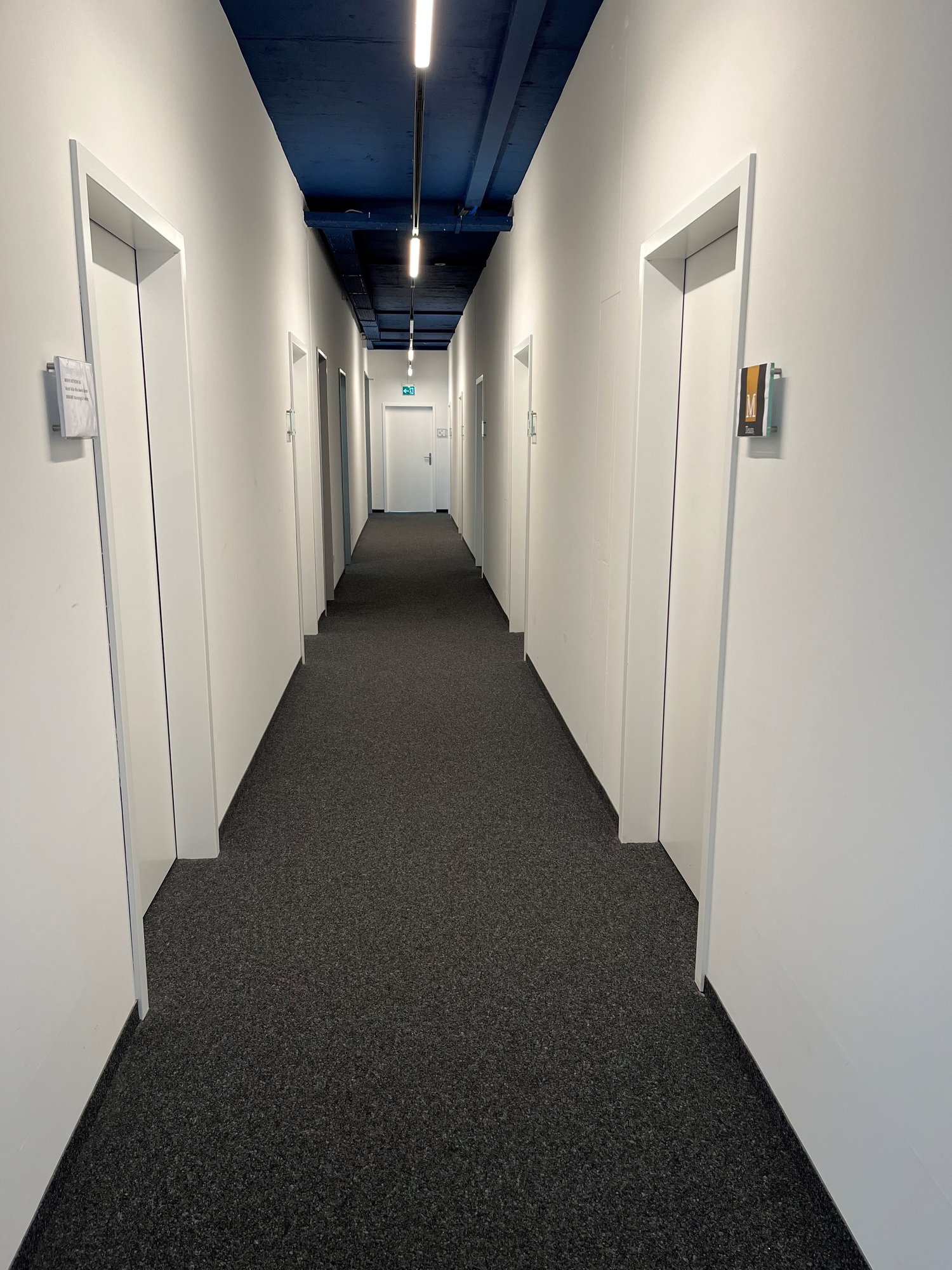 empty corridor with doors, carpeted floor, illuminated by fluorescent ceiling lights