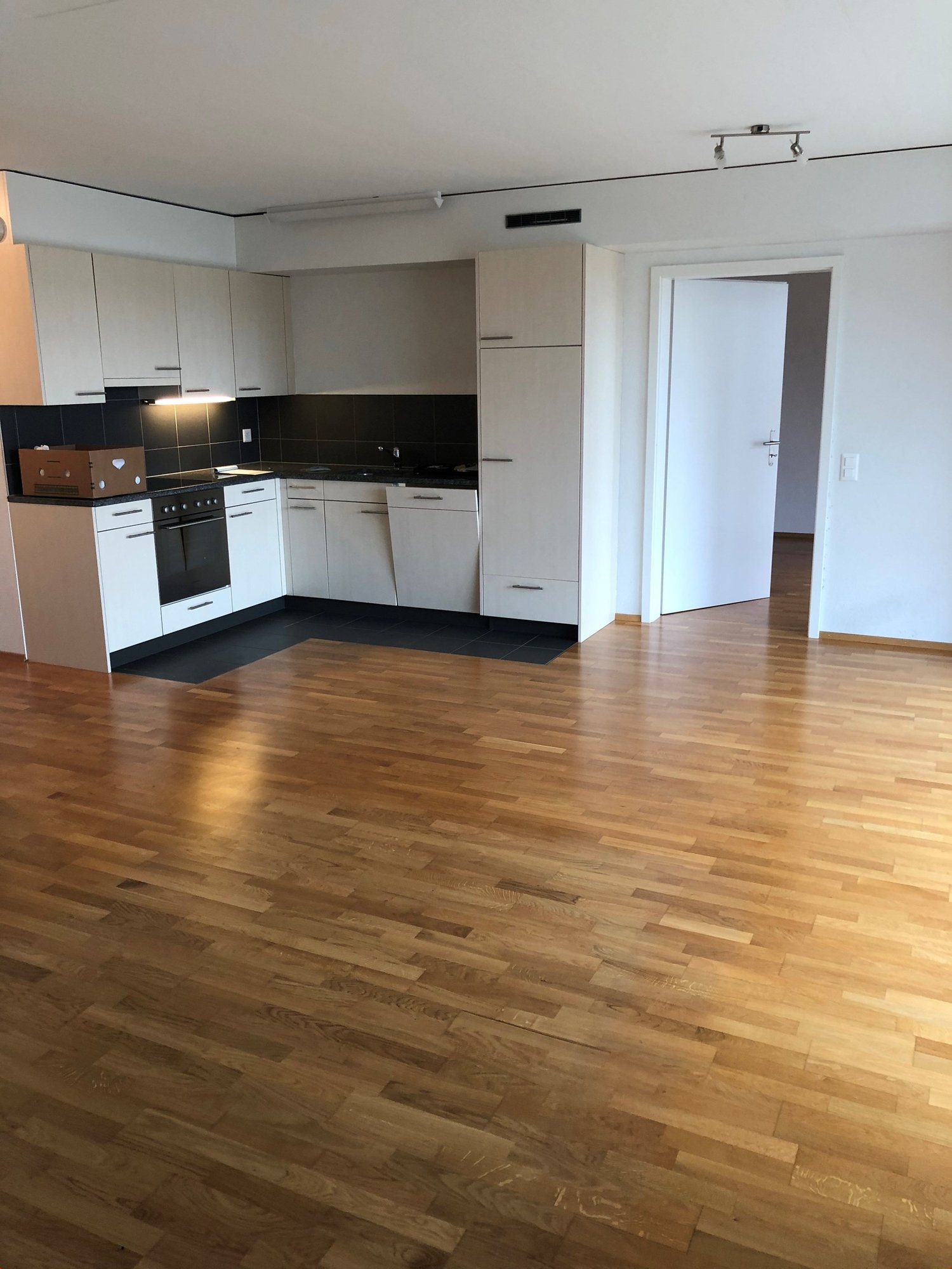 Empty modern kitchen with wooden floors, white cabinets, black tiled countertop, built-in oven and extractor hood.