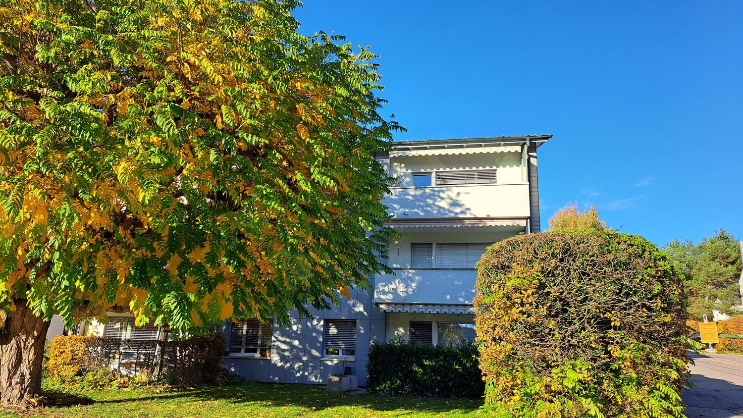 white walls, windows with white frames, balcony on the second floor, surrounded by greenery