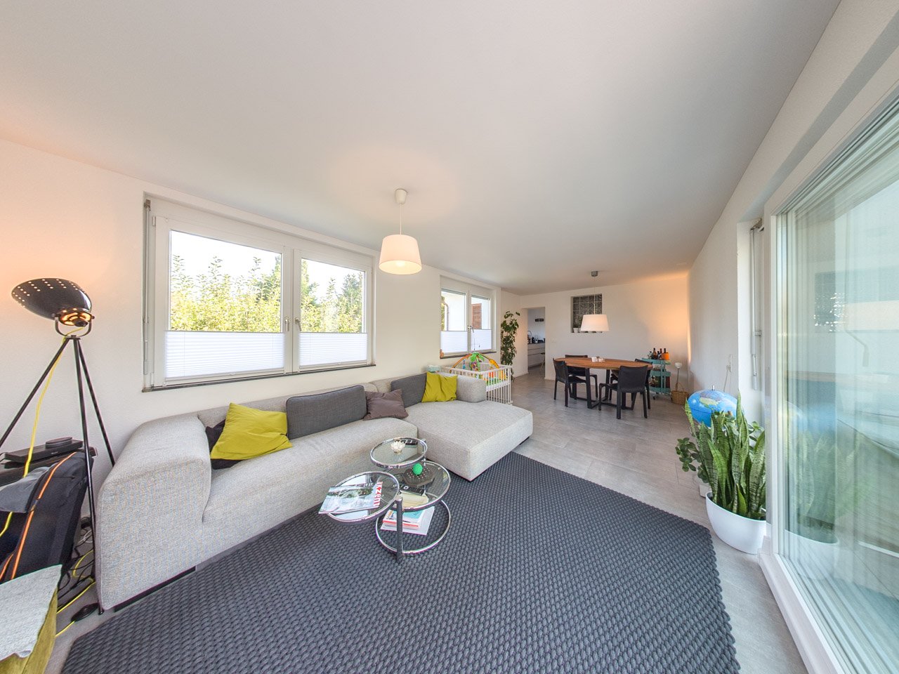 modern living room with gray sofa, glass coffee table, large windows, floor lamp, potted plant, carpet