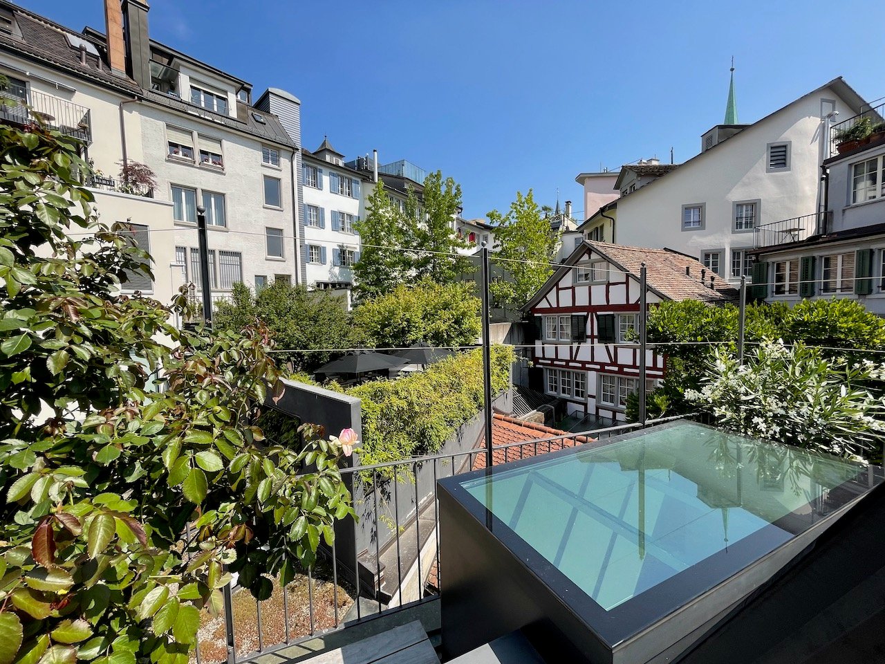 rooftop terrace, swimming pool, metal railings, greenery, nearby buildings