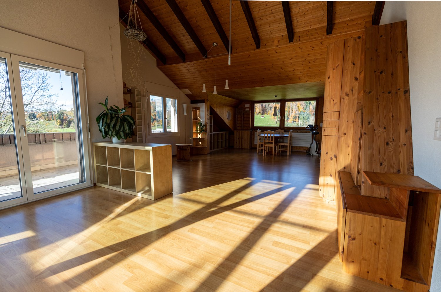 Open living area, wooden floors, large glass doors, glass windows, kitchen, dining table, wooden ceiling, shelves