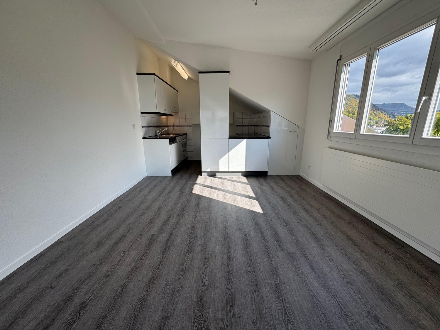 empty room, wood floor, white walls, kitchen, window, ceiling light