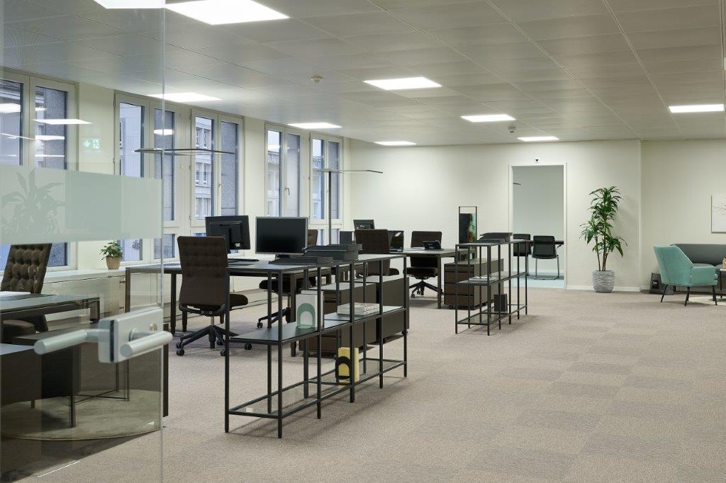 Open plan office, desks, black office chairs, computer monitors, beige carpet, glass walls, large windows, potted plants