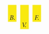 BVF, Bau-, Verwaltungs-, Finanzierungs- und Treuhand AG